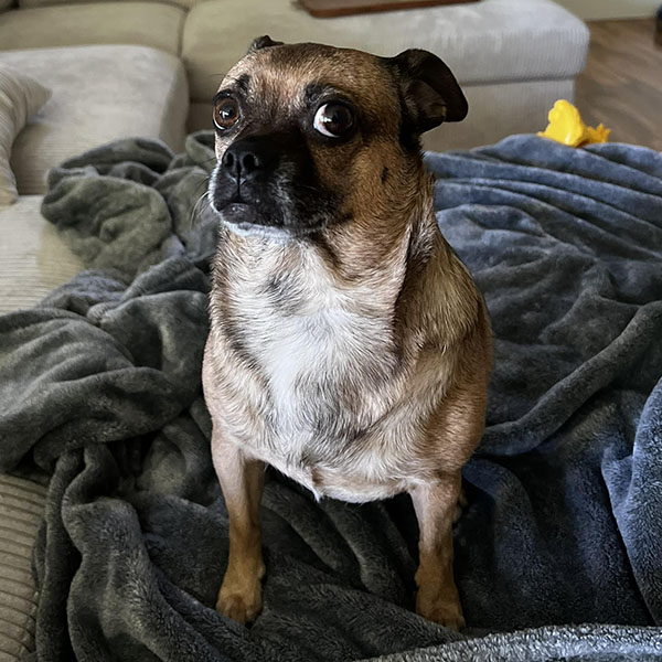 Poet the chug